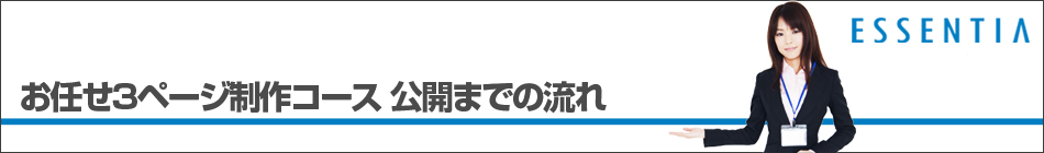 お任せ3ページ制作コース 公開までの流れ