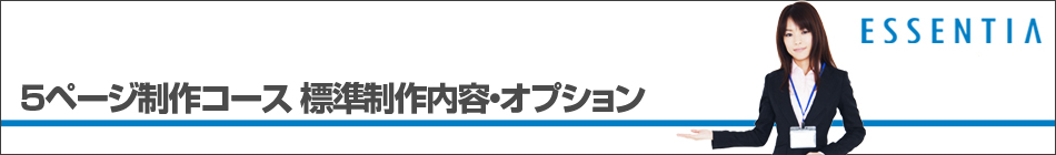 5ページ制作コース 標準制作内容・オプション